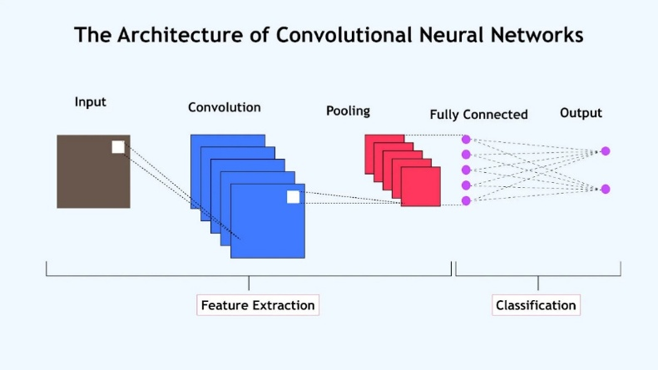 The Architecture of Convolutional Neural Neural Networks
