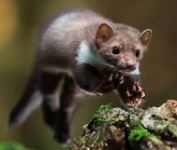 E:\Research Work\Ravi Research Work\Bharat_Phd Work\Capturen1.JPG