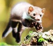 E:\Research Work\Ravi Research Work\Bharat_Phd Work\Capturen2.JPG