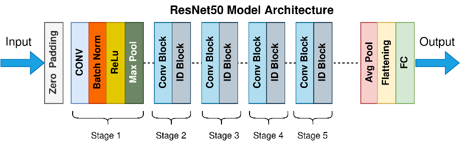 Annotated ResNet-50 | Towards Data Science