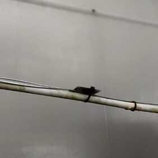 C:\Users\HP\Downloads\WhatsApp Image 2023-04-03 at 06.45.57.jpeg