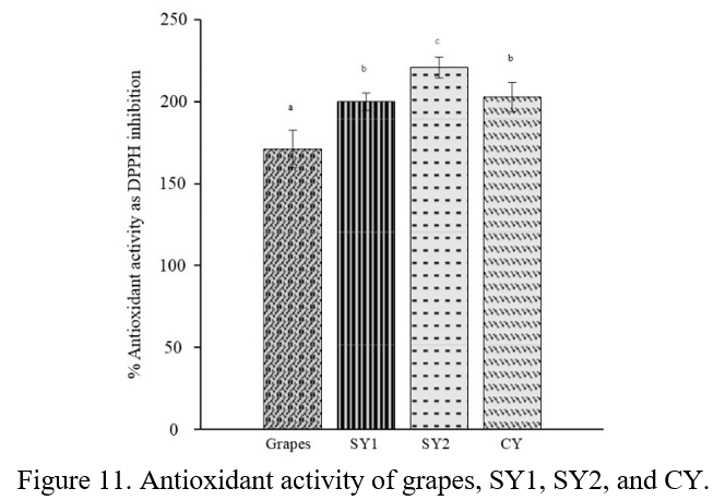 Figure 11. Antioxidant activity of grapes, SY1, SY2, and CY.